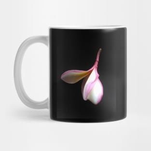 Downward Facing Frangipani Mug